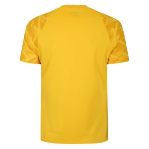 Atlas Jersey SV Yellow / Black Rear