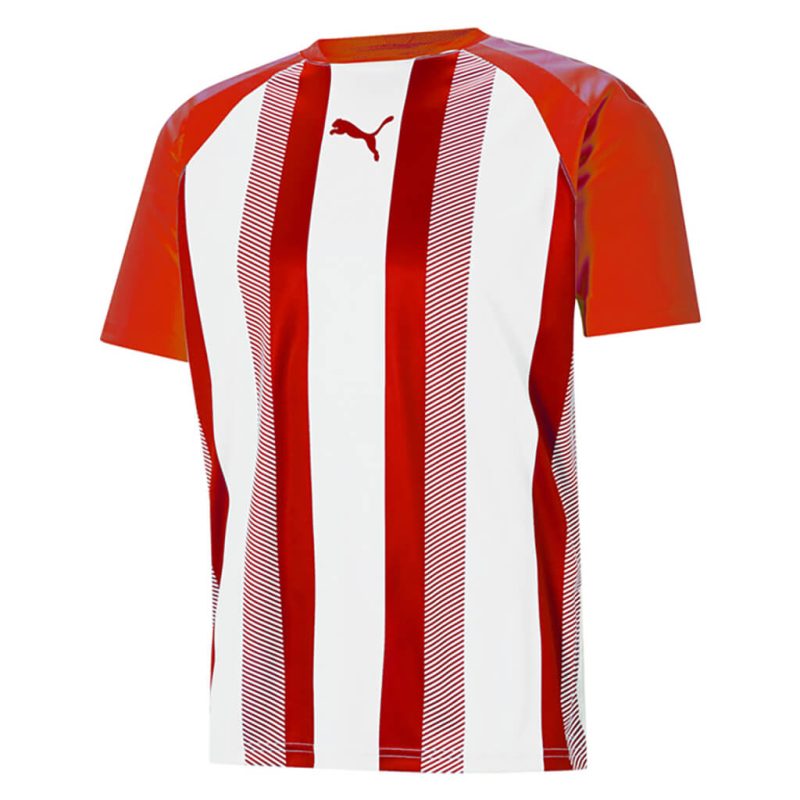 Steyning Town Home Adult Shirt