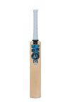 GM Diamond 202 Kashmir Willow Cricket Bat