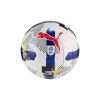 Puma PUMA Orbita 6 EFL MS Mini Puma White-Multicolor