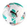 Puma PUMA Orbita 1 EFL TROPHY FIFA Quality Pro Puma White-Multicolor