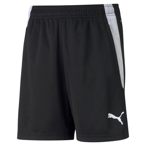 Puma teamLIGA Training Shorts Puma Black-Puma White