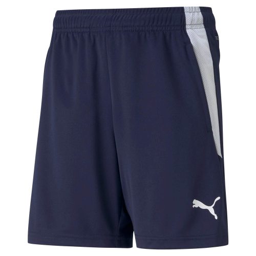 Puma teamLIGA Training Shorts Peacoat-Puma White