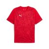 Puma teamCUP Training Jersey Puma Red-Puma Silver-Dark Cherry