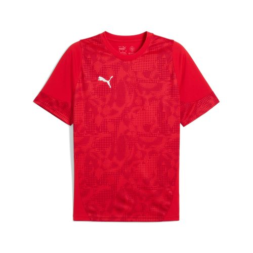 Puma teamCUP Training Jersey Puma Red-Puma Silver-Dark Cherry