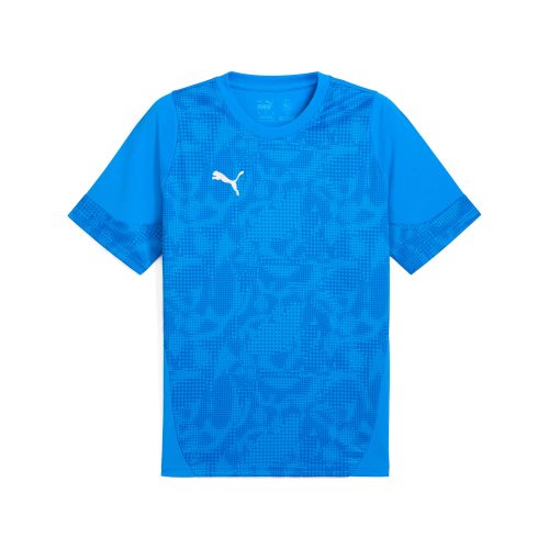 Puma teamCUP Training Jersey Electro Royal-Puma Silver-Puma Team Royal