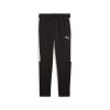 Puma teamEVOSTRIPE Pants Puma Black-Puma Silver-Puma White