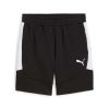Puma teamEVOSTRIPE Shorts Puma Black-Puma Silver-Puma White