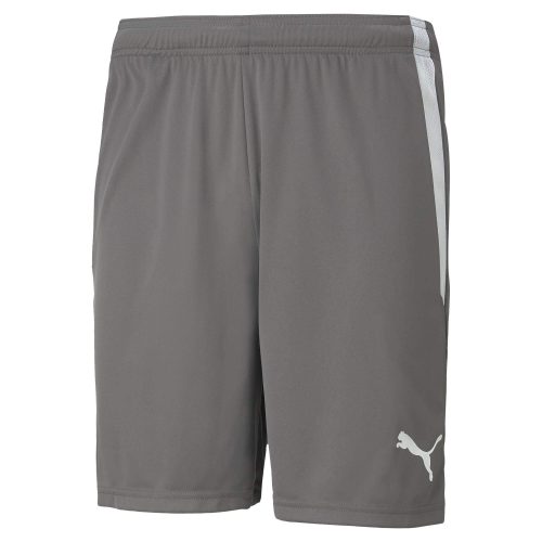 Puma teamLIGA Shorts Smoked Pearl-Puma White