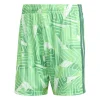 Hythe Town Football Club Youth Away Goalkeeper Shorts