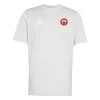 Hythe Town Football Club Coaches Grey T-Shirt
