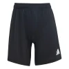 Hythe Town Football Club Women's Training Pack Shorts
